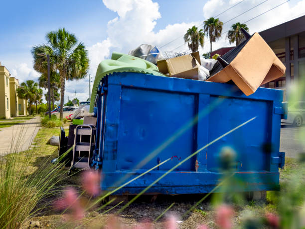 Yard Cleanup Services in Trinidad, CO